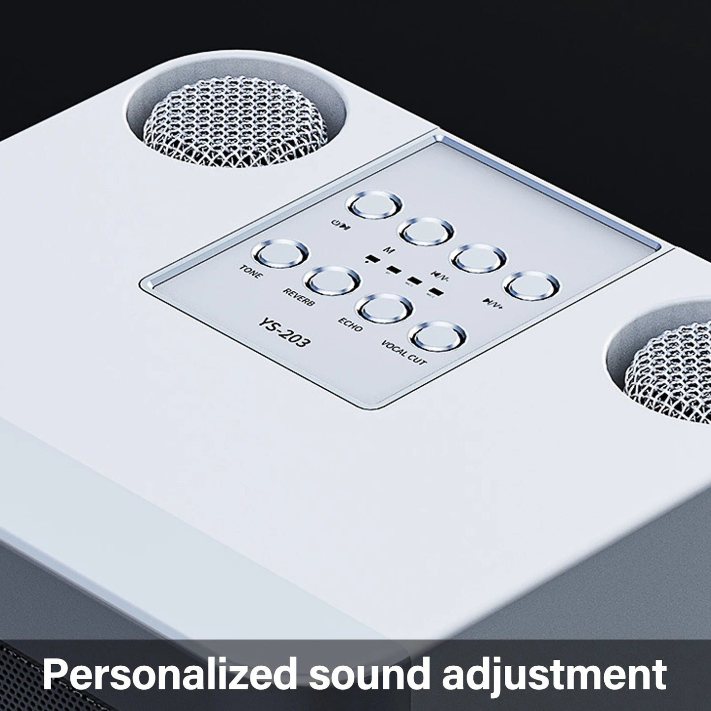 Wireless Speakers,  Ys-203, 100W High Power, Red, Portable Microphone Connectivity.